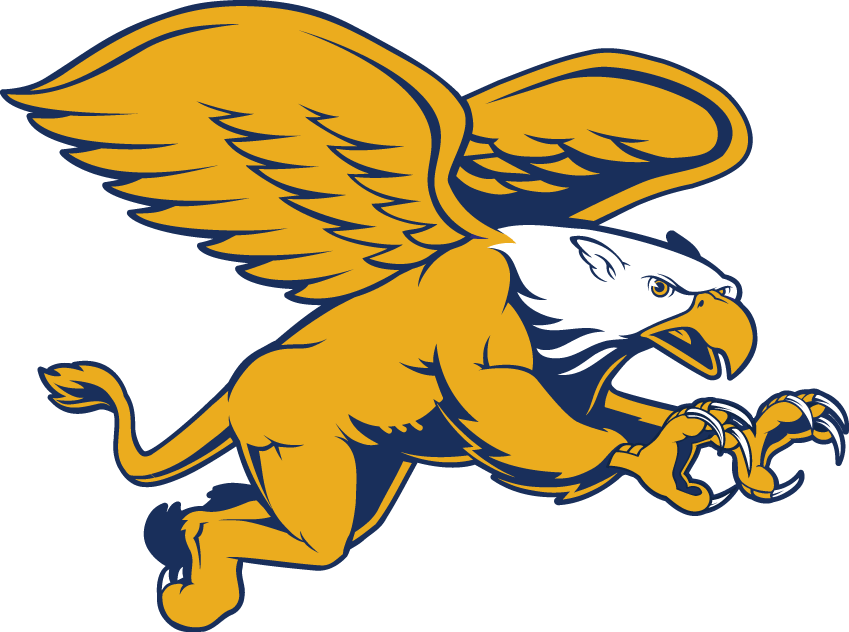 Canisius Golden Griffins 2006-Pres Secondary Logo v2 diy fabric transfer
